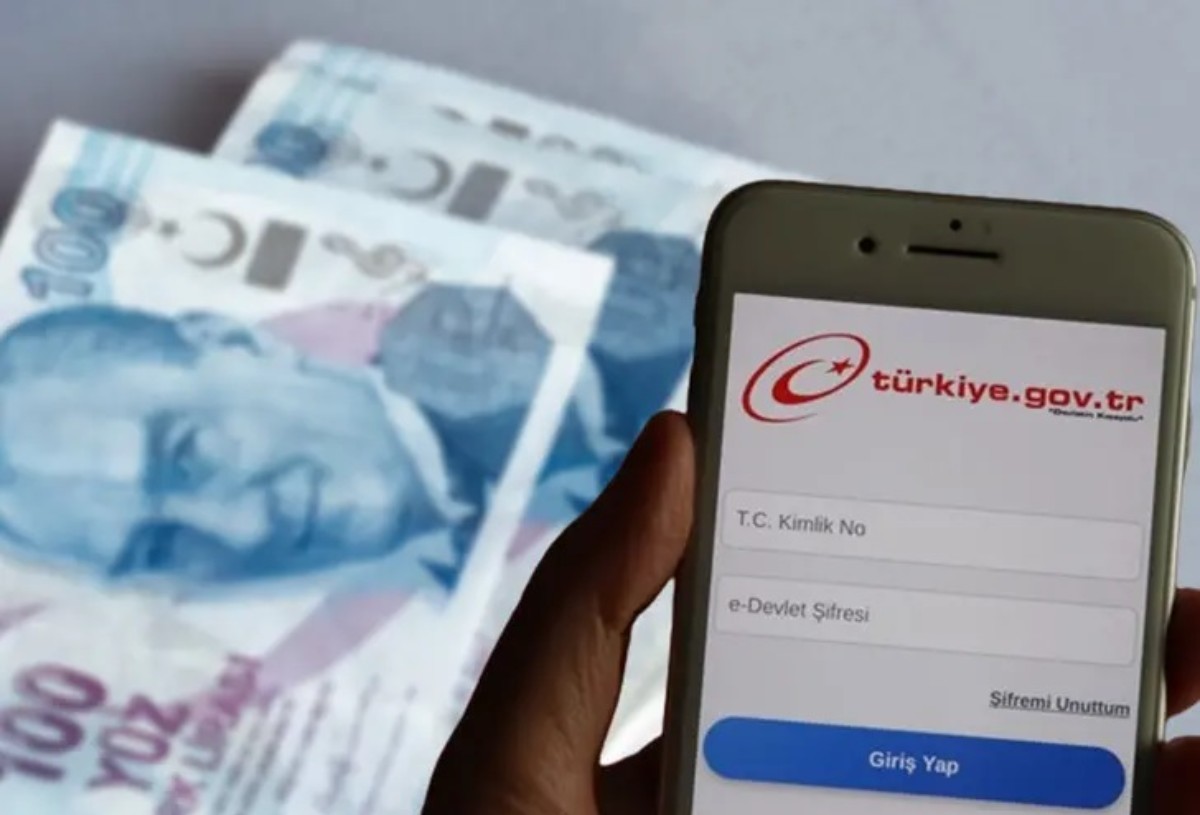 e-Devlet başvuruları bugün açıldı