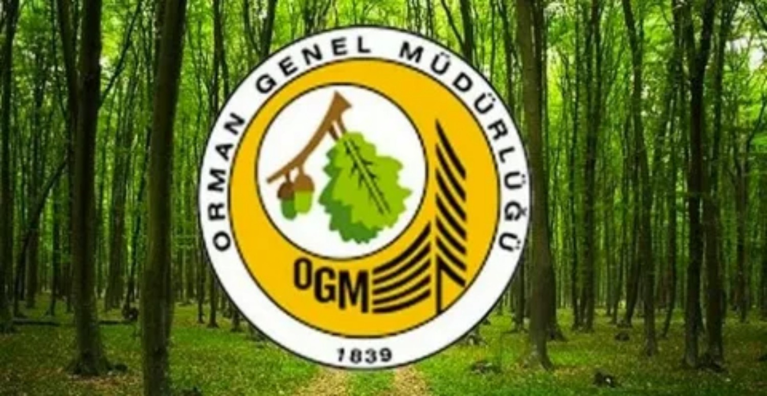OGM İŞE ALIM
