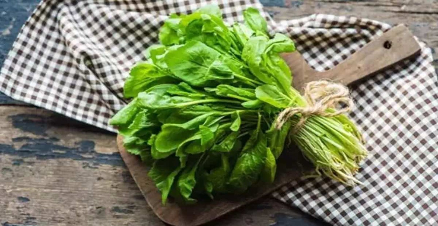 Sigaranın zararını tamamen siliyor! 5 gün boyunca bu kürü uygulayın!